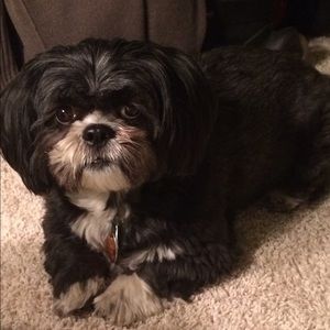 Meet your Posher, Mia